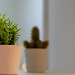 Rosa Homes Urban Living - Porto Antico, Acquario, Ascensore, Wi-fi Veloce 아파트